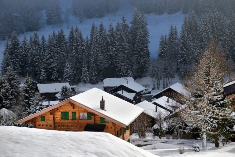 histoire immobilier suisse