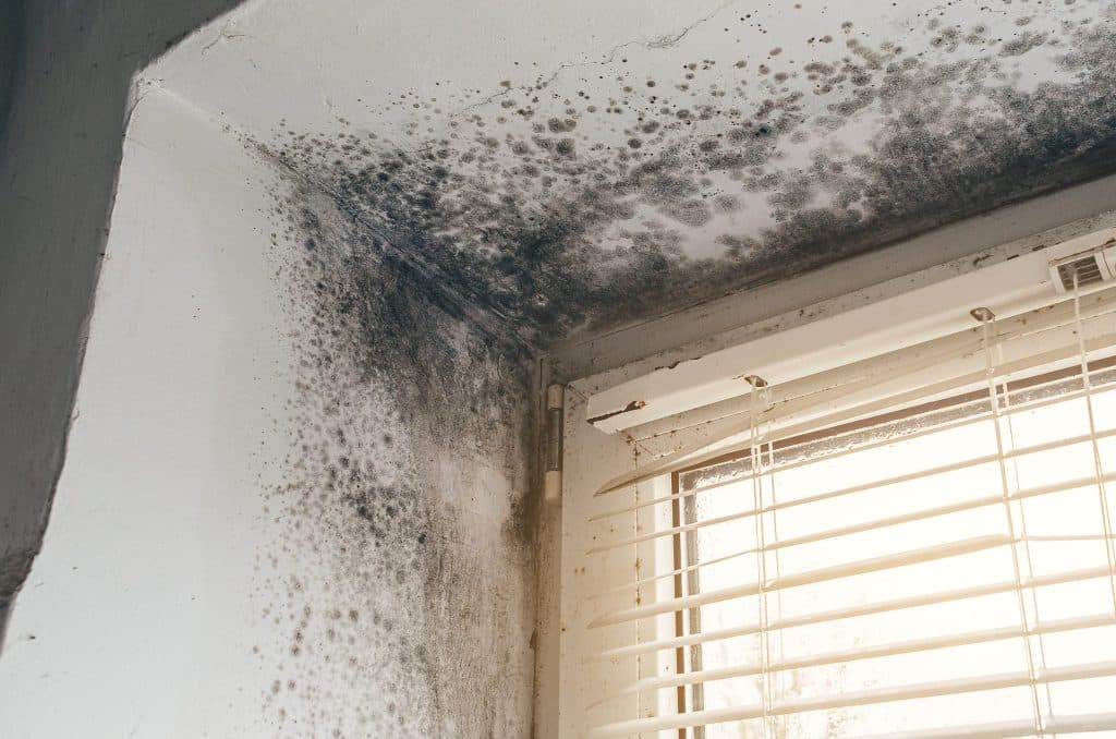 Logement insalubre
